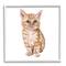 Stupell Industries Tabby Cat Kitten Watercolor Portrait Nursery Animal Framed Wall Art
